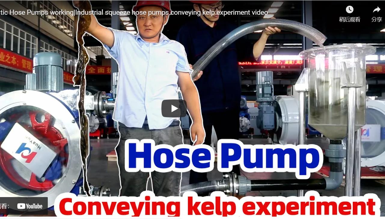 Peristaltic Hose Pumps working|Industrial squeeze hose pumps conveying kelp experiment video